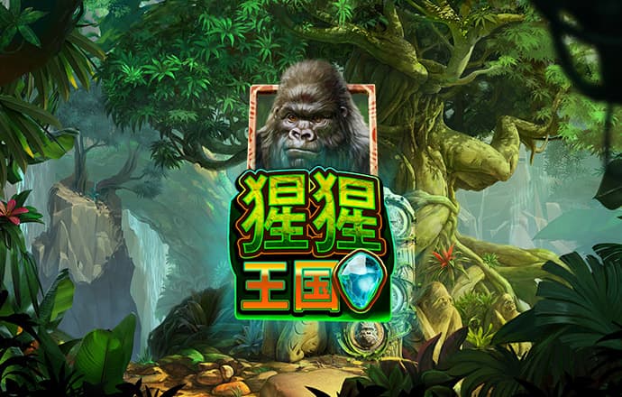 769下载app彩票